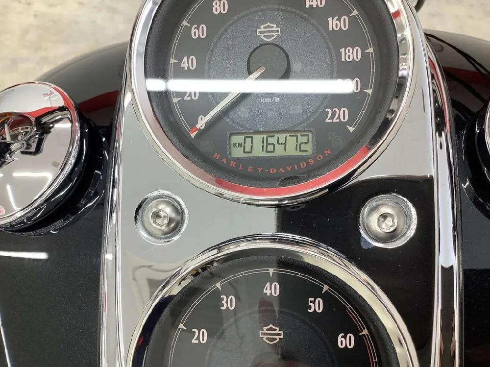 Harley-Davidson Dyna Low Rider 2012, фото 9
