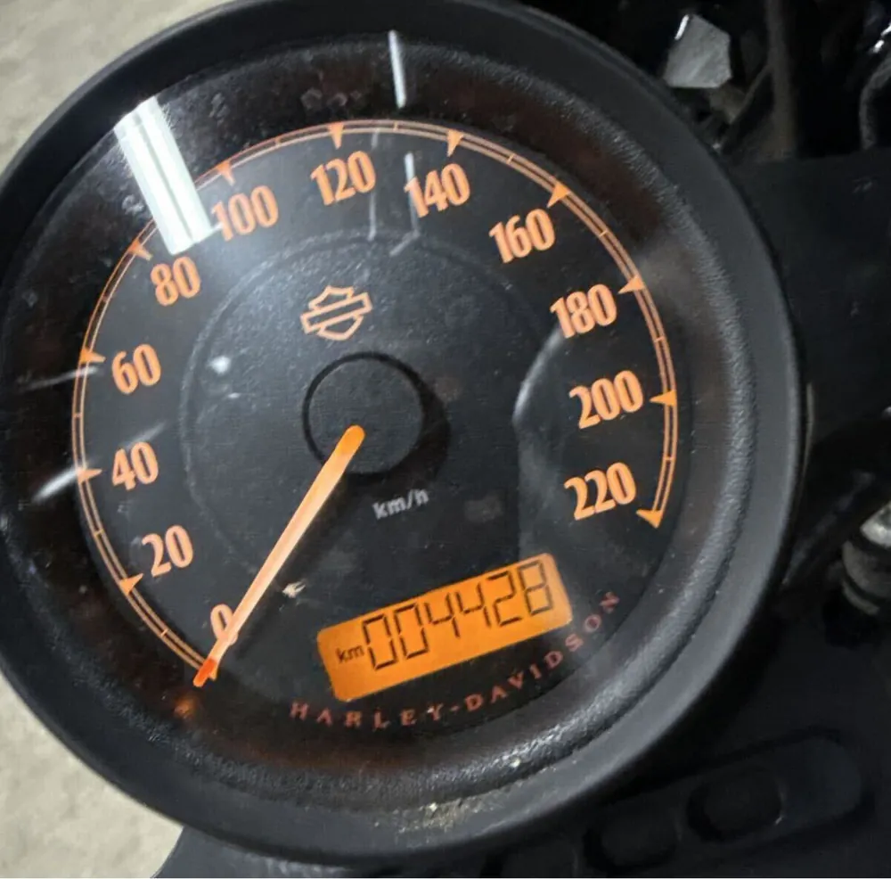 Harley-Davidson XL883N Iron 2015, фото 2