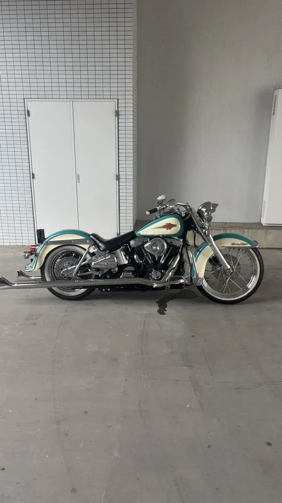 Harley-Davidson FLSTC 1992, фото 3