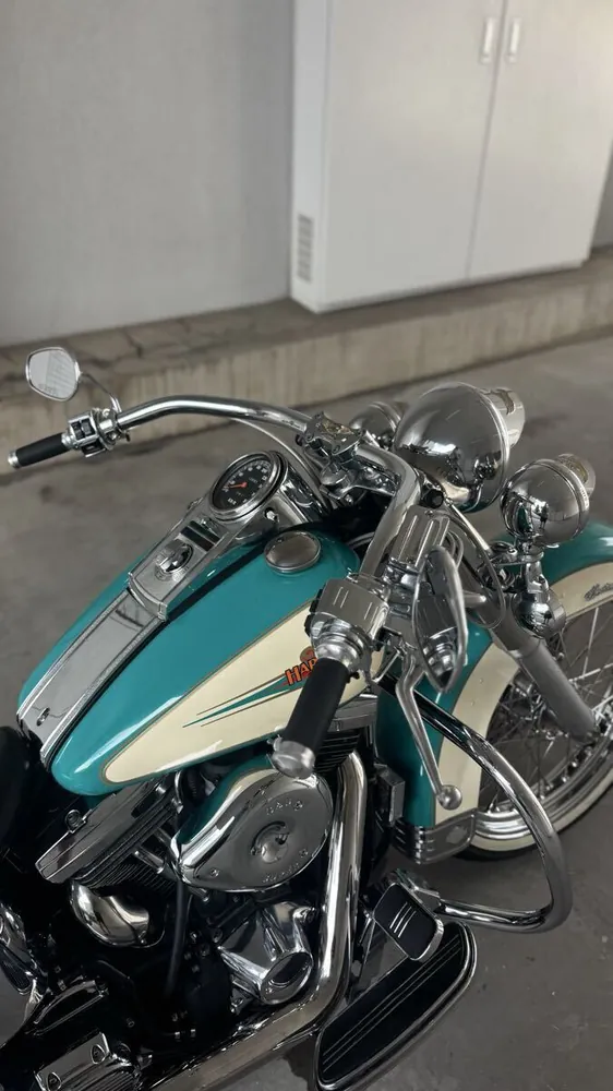 Harley-Davidson FLSTC 1992, фото 6
