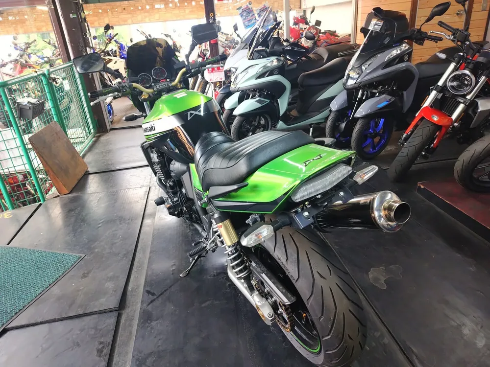 Kawasaki ZRX1200DAEG 2011, green / black, фото 8