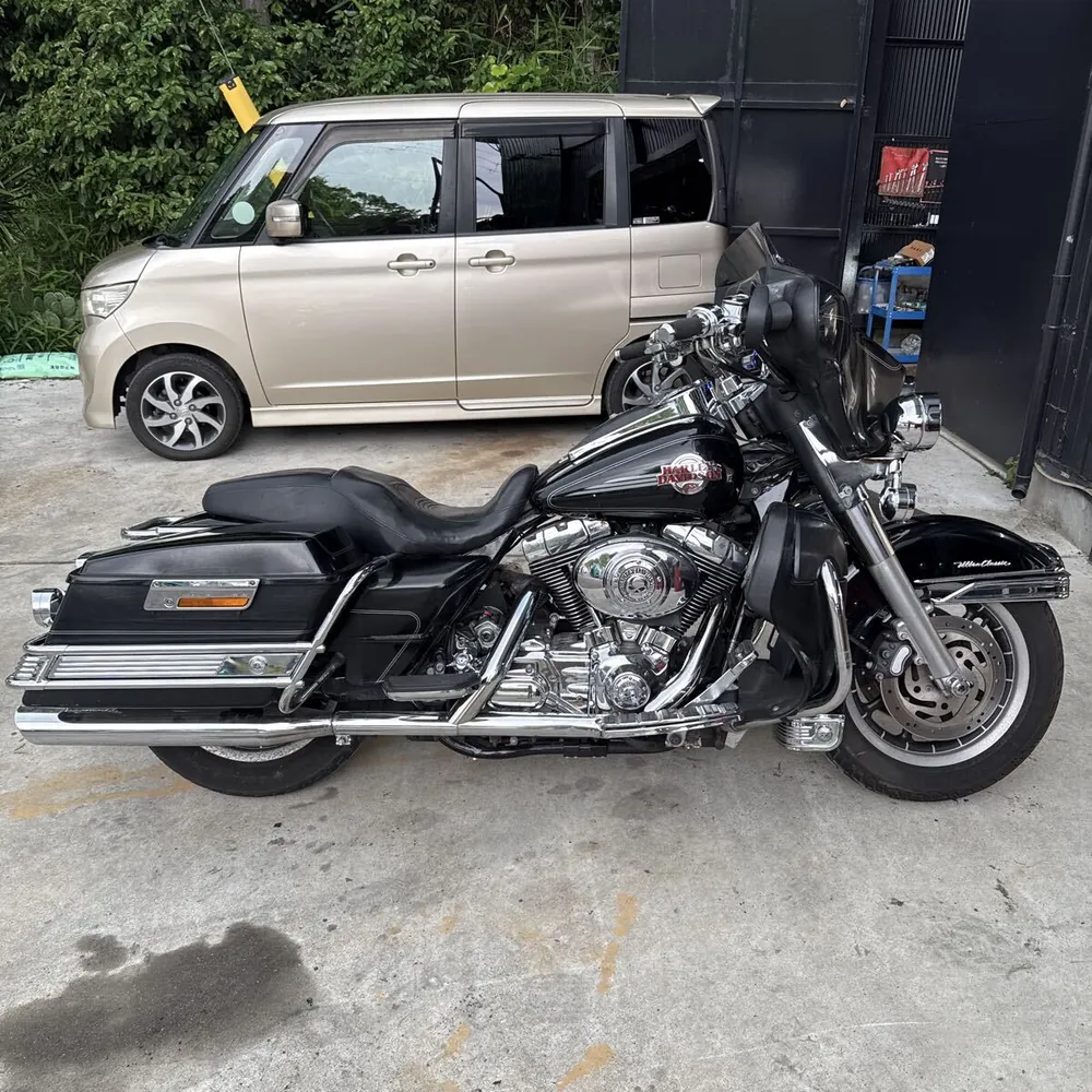 Harley-Davidson FLSTS 2006, фото 9