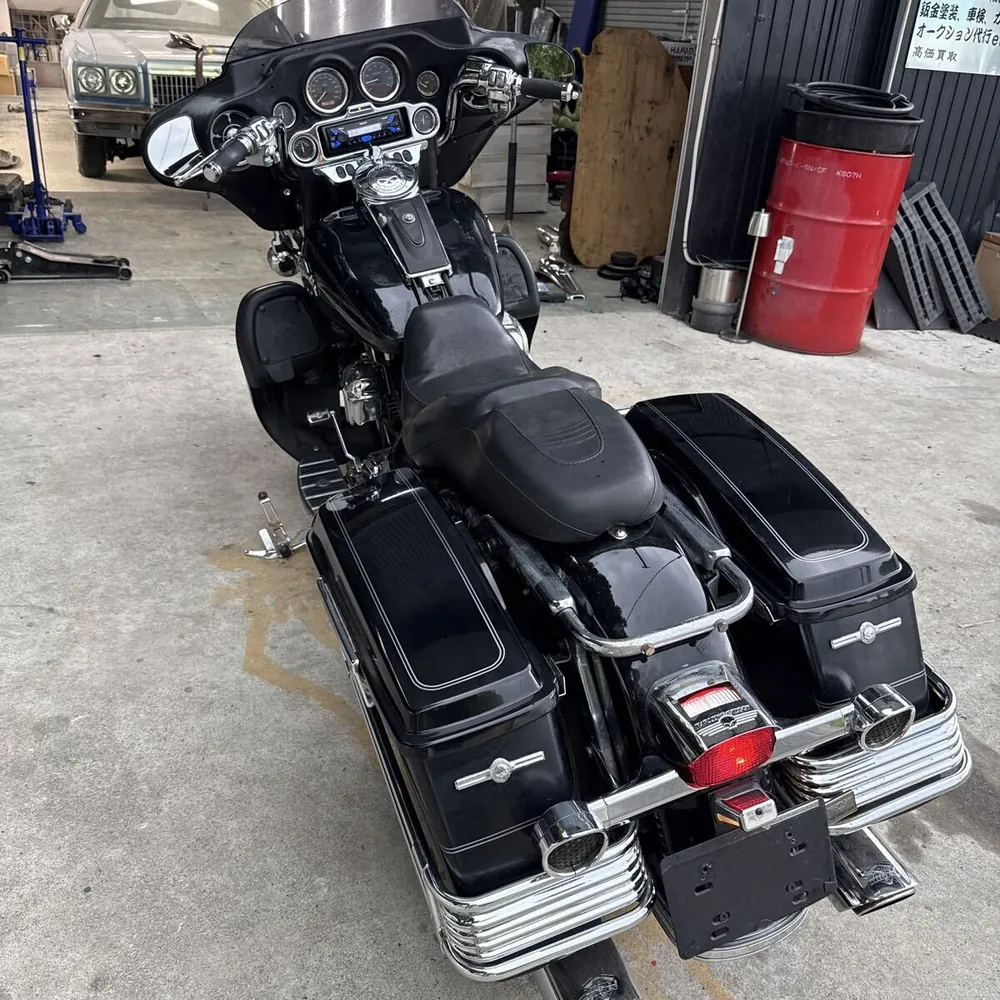 Harley-Davidson FLSTS 2006, фото 4