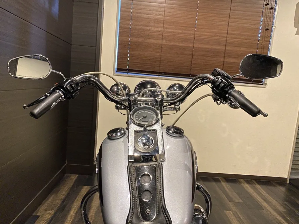 Harley-Davidson FLSTS1450 1999, серебристый, фото 6