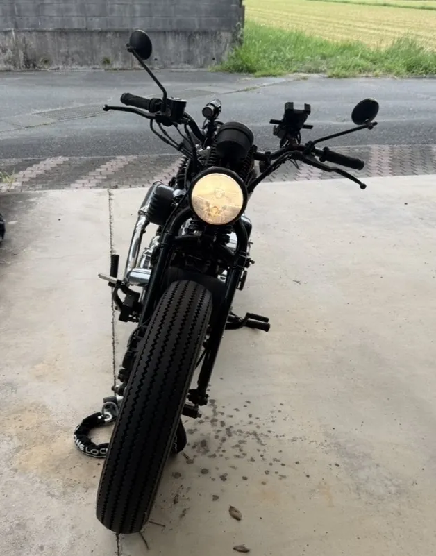 Yamaha Thunder 250 2021, фото 4