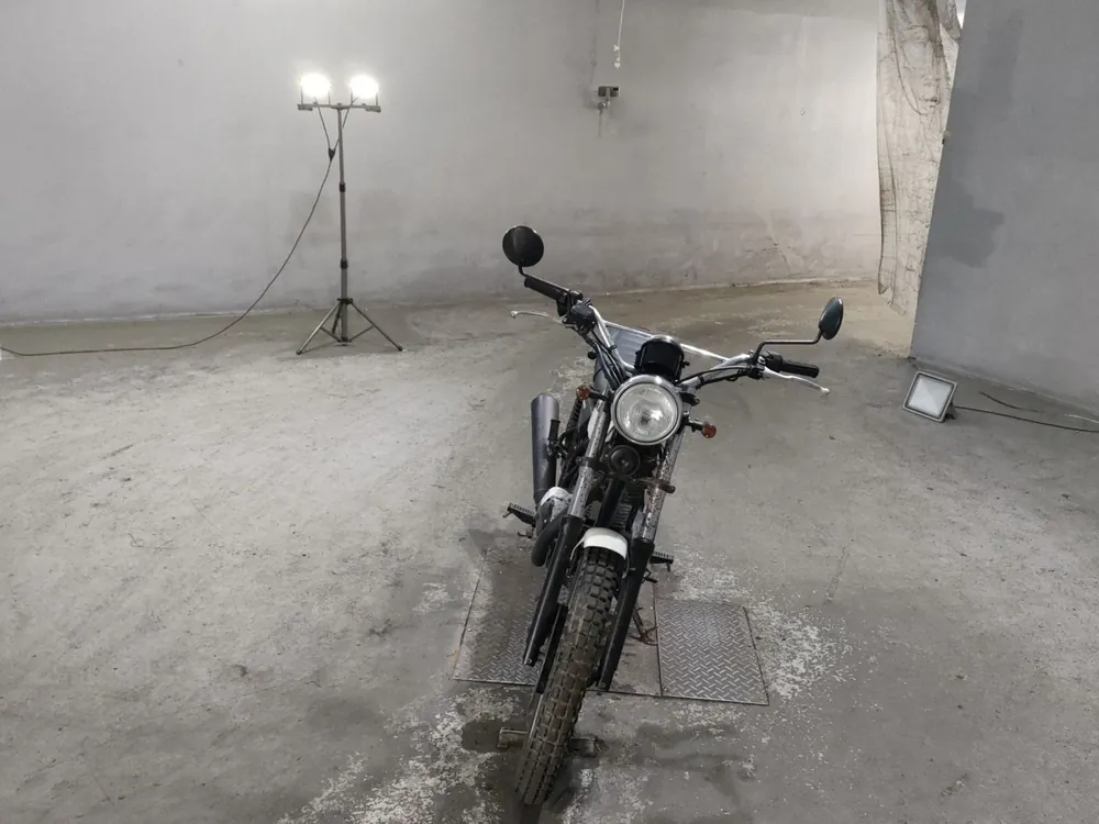 Kawasaki 250TR BJ250F, белый, фото 3