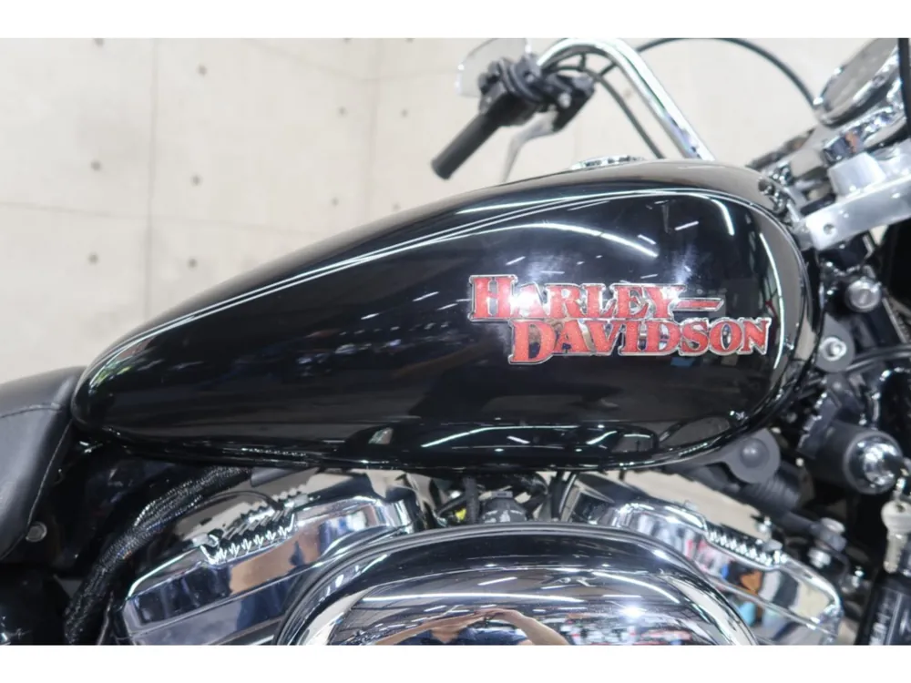 Harley-Davidson XL1200CA 2014, чёрный, фото 11