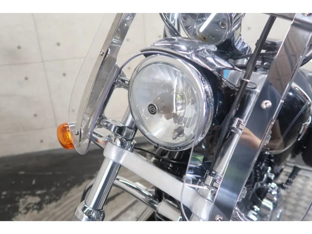 Harley-Davidson XL1200CA 2014, чёрный, фото 17