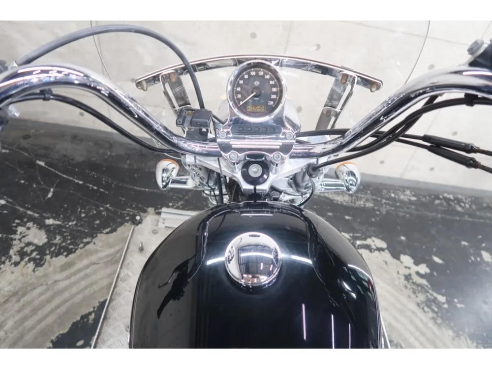 Harley-Davidson XL1200CA 2014, чёрный, фото 18