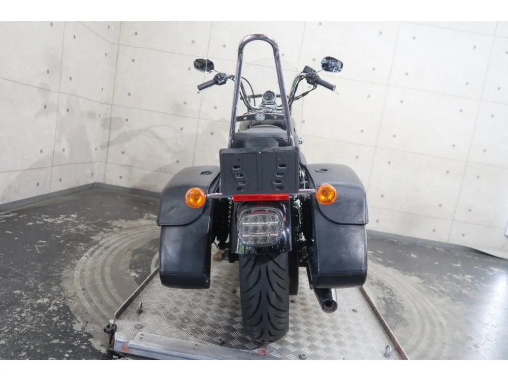 Harley-Davidson XL1200CA 2014, чёрный, фото 19