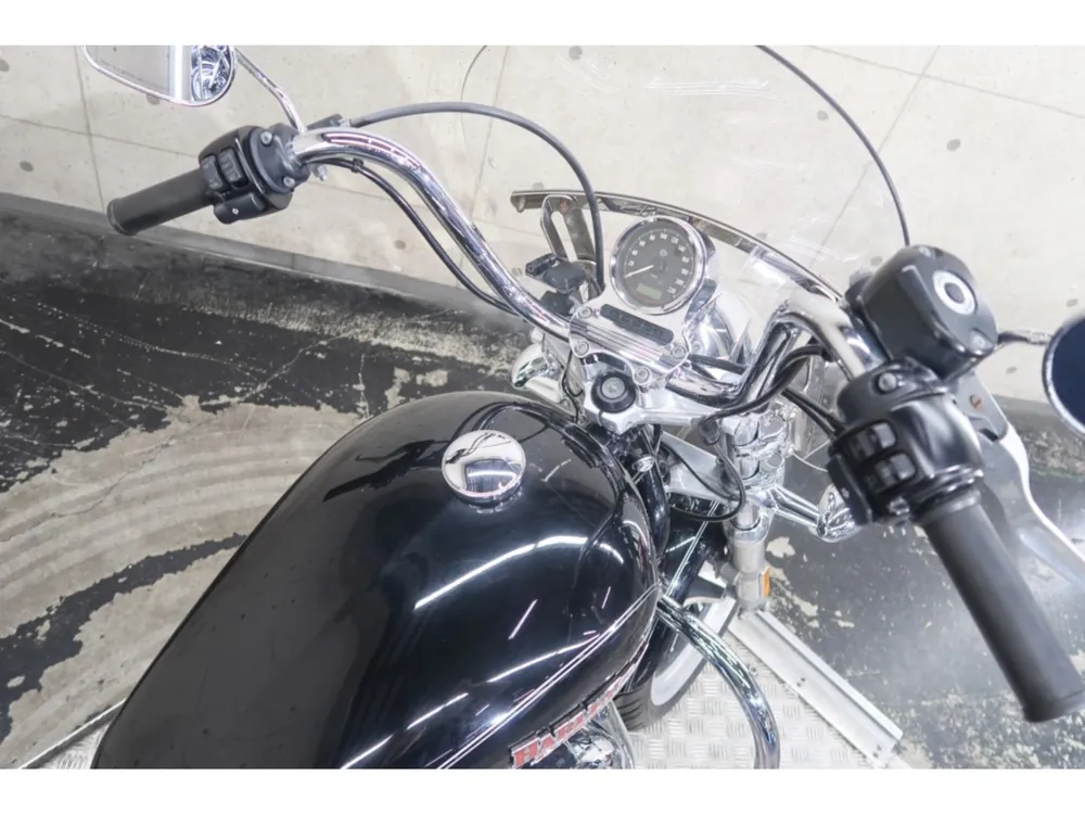 Harley-Davidson XL1200CA 2014, чёрный, фото 8