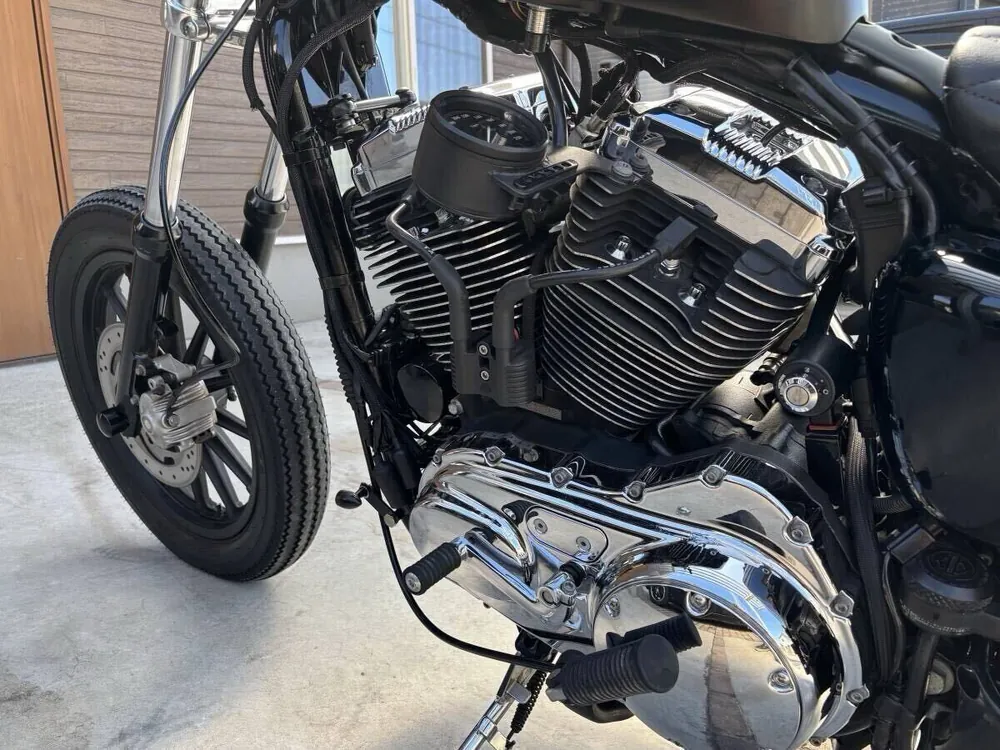 Harley-Davidson XL1200L 2009, фото 2