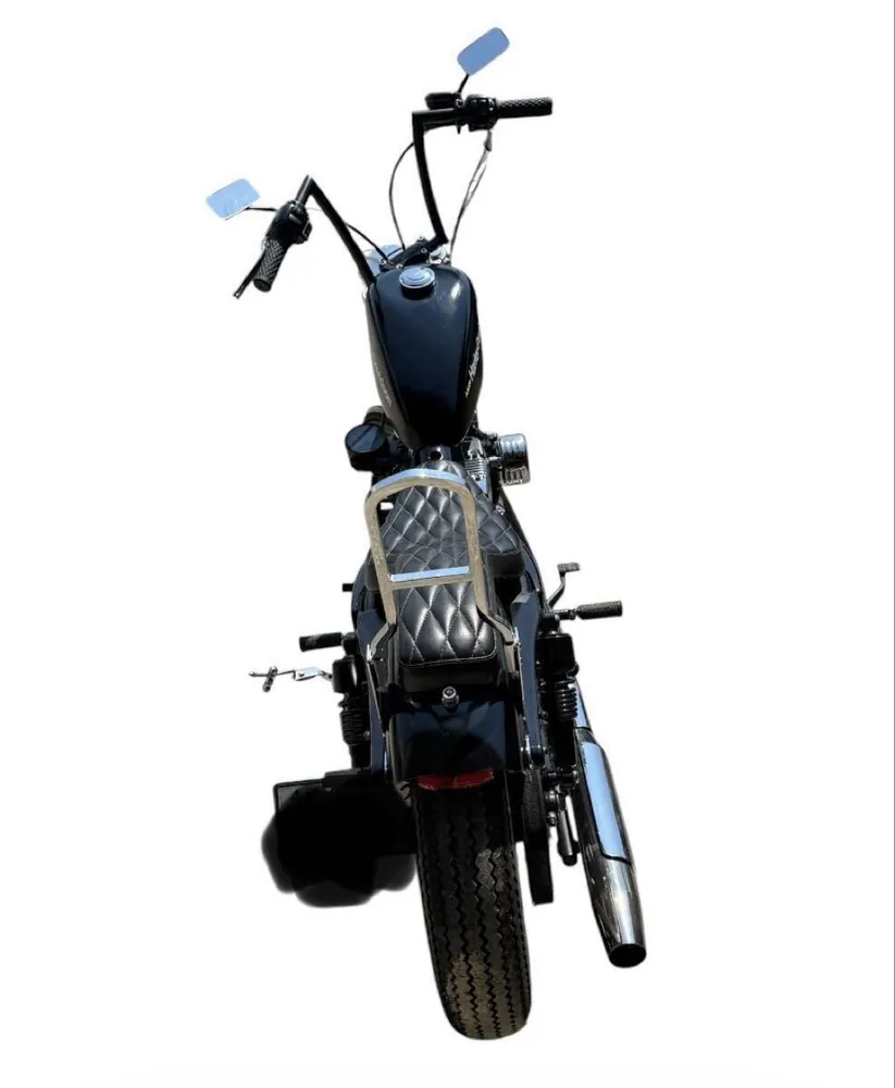 Harley-Davidson XL1200L 2009, фото 5