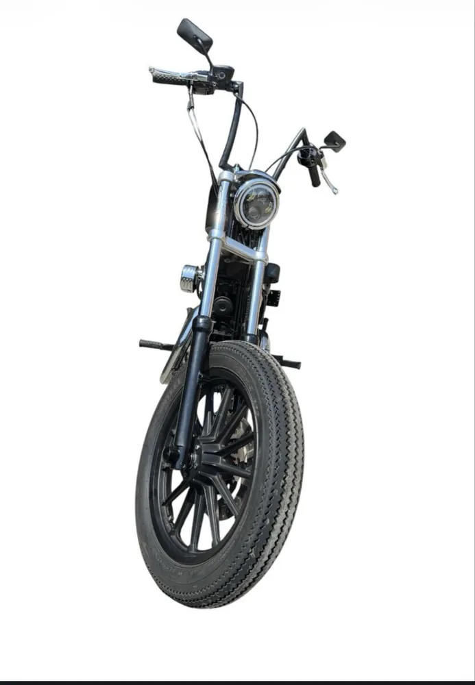 Harley-Davidson XL1200L 2009, фото 6
