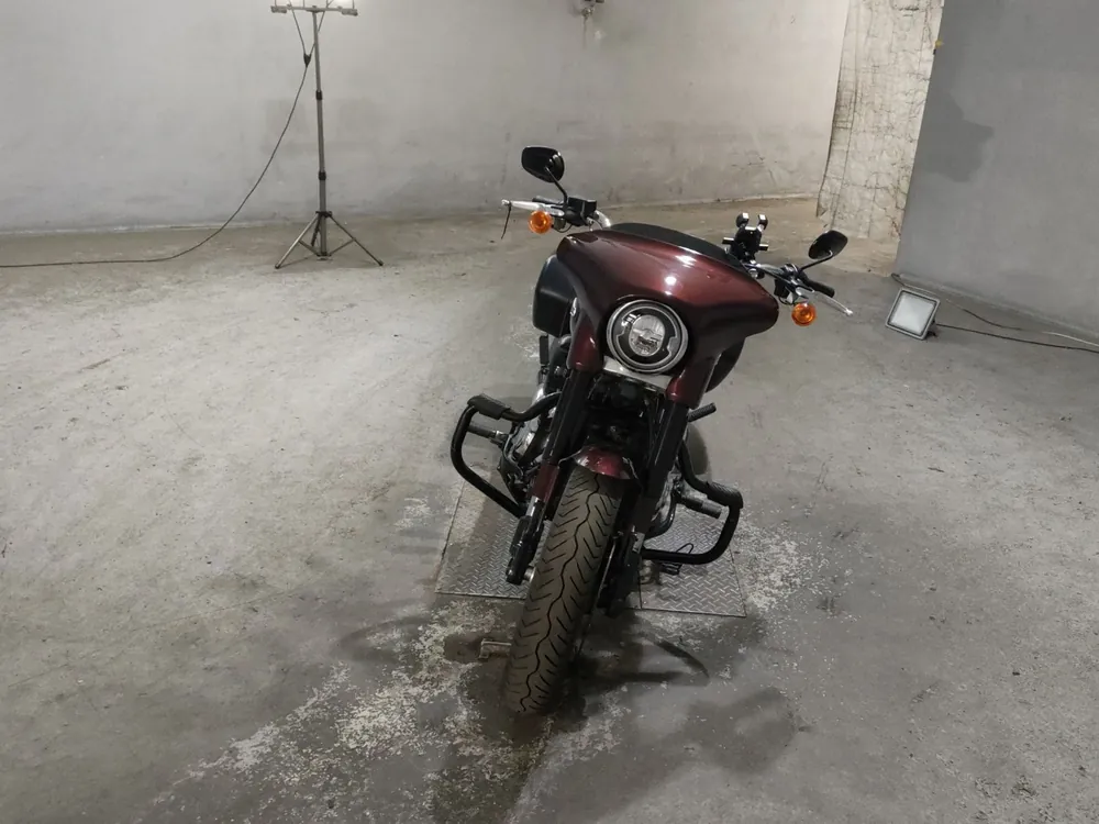 Harley-Davidson FLSB1750 2019, light brown, фото 3