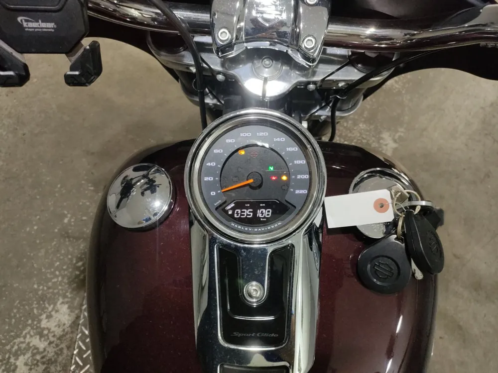 Harley-Davidson FLSB1750 2019, light brown, фото 5