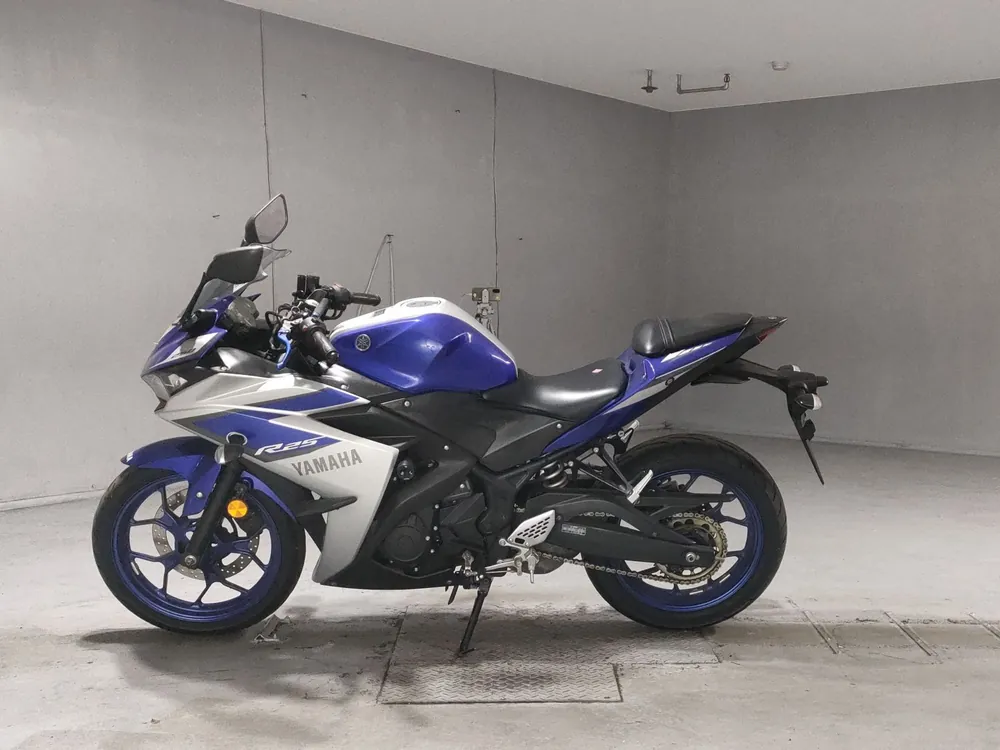 Yamaha YZF-R25, silver / blue, фото 2