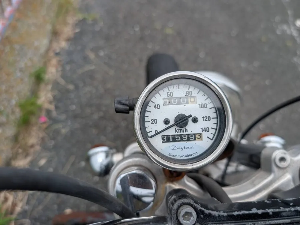 Harley-Davidson XL883L 2006, фото 2