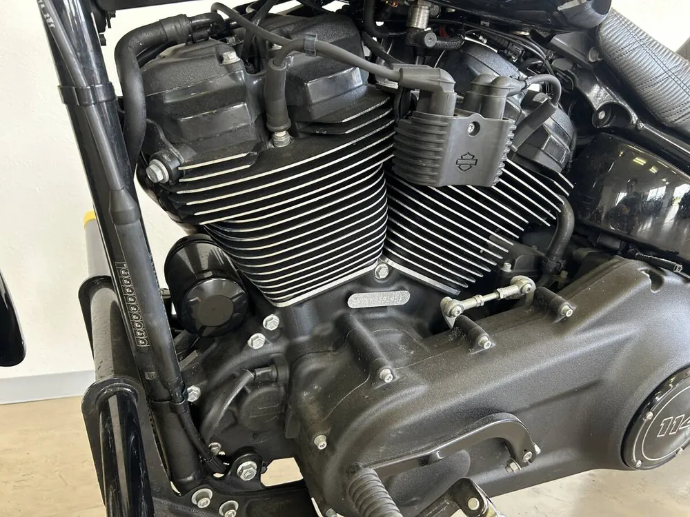 Harley-Davidson FXBBS 2021, фото 9