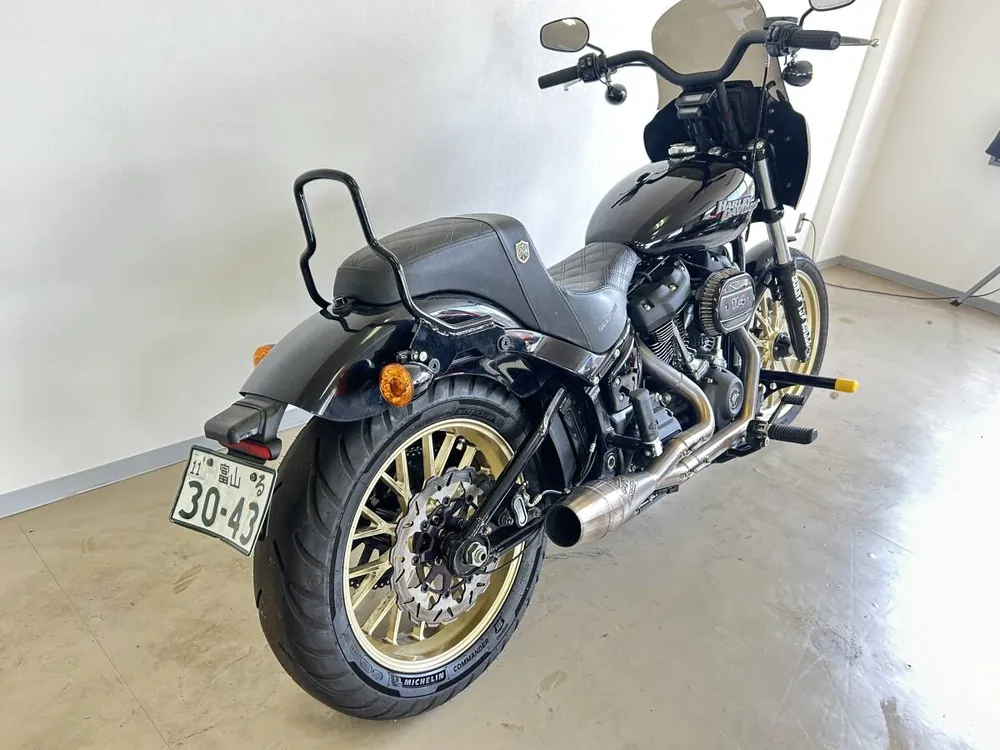 Harley-Davidson FXBBS 2021, фото 10