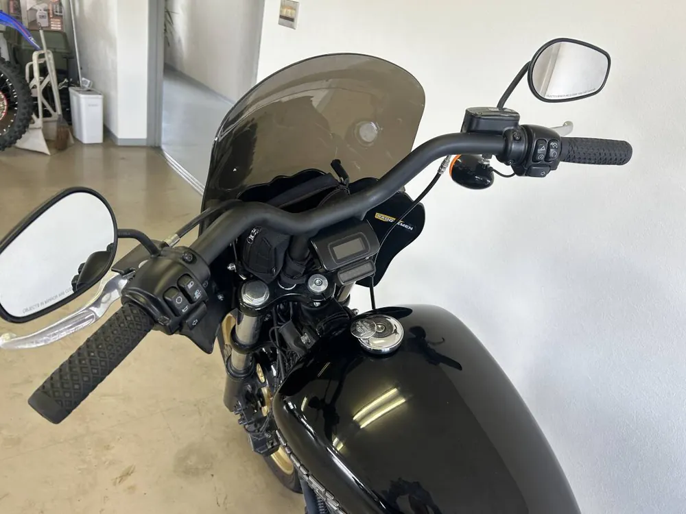Harley-Davidson FXBBS 2021, фото 2