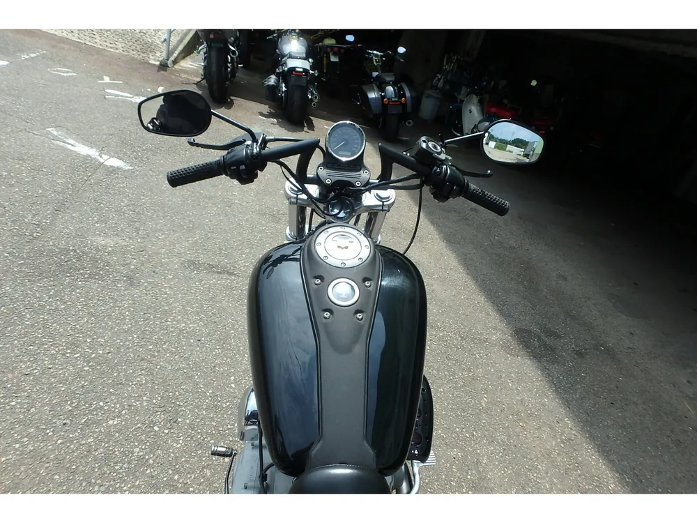 Harley-Davidson FXD1340 2007, чёрный, фото 10