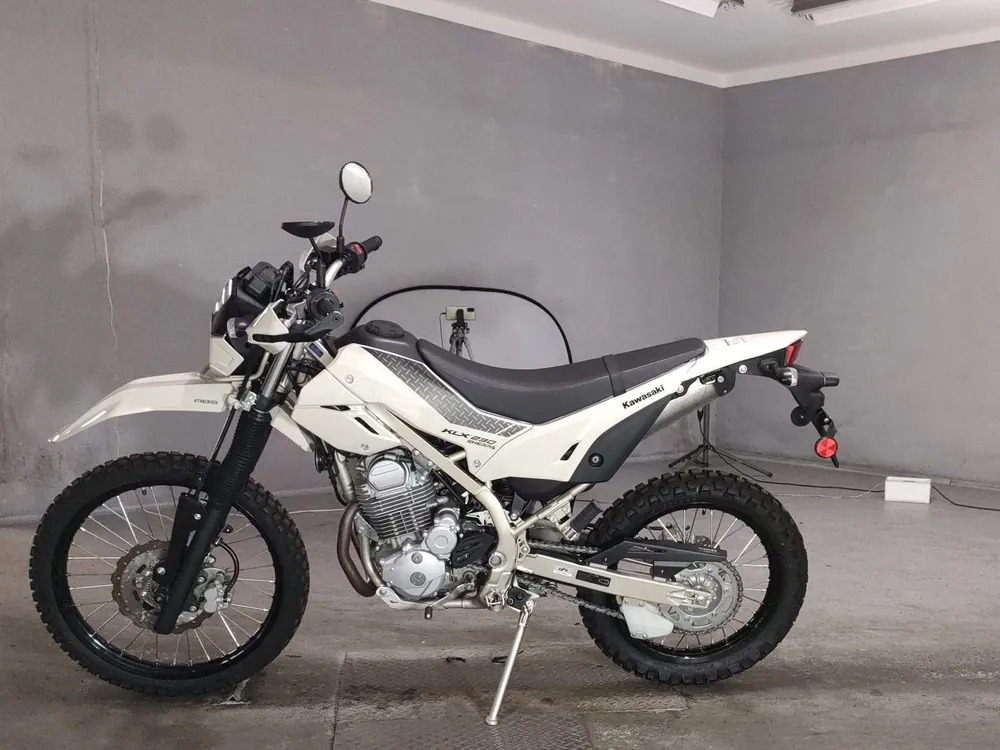 Kawasaki KLX230 Sherpa, бежевый, фото 2