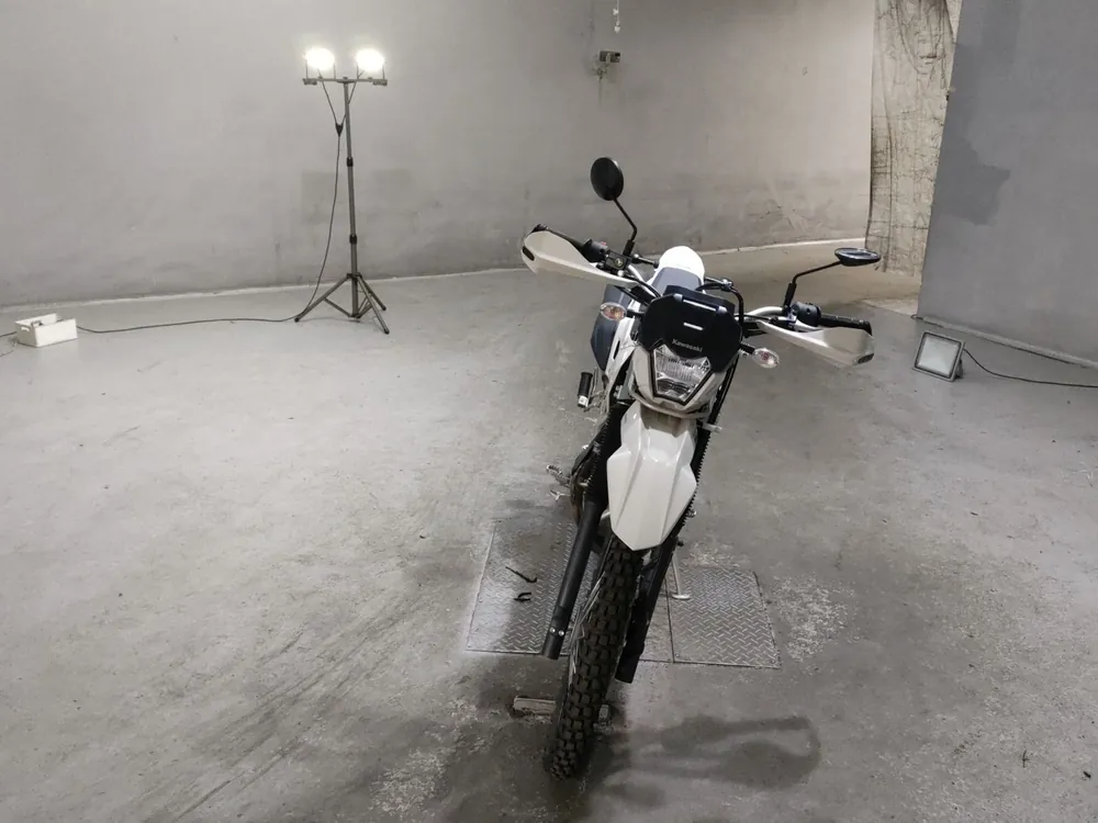 Kawasaki KLX230 Sherpa, бежевый, фото 3