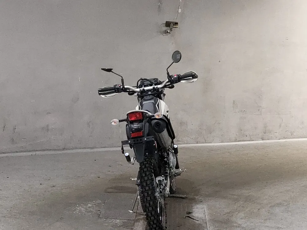 Kawasaki KLX230 Sherpa, бежевый, фото 4