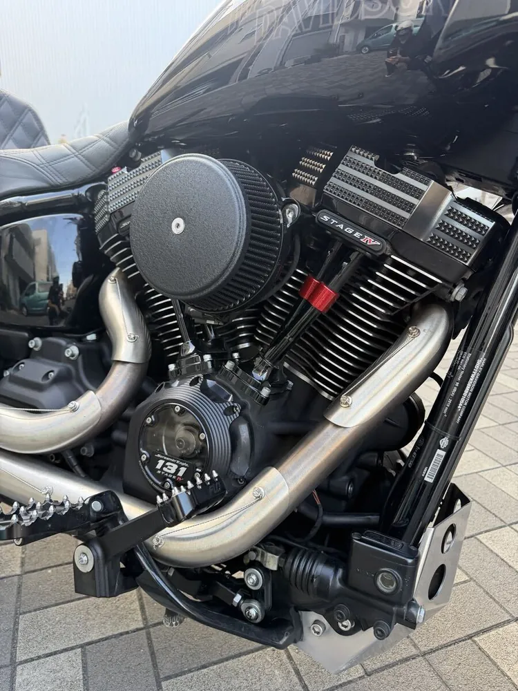 Harley-Davidson FXLRST 2021, фото 8