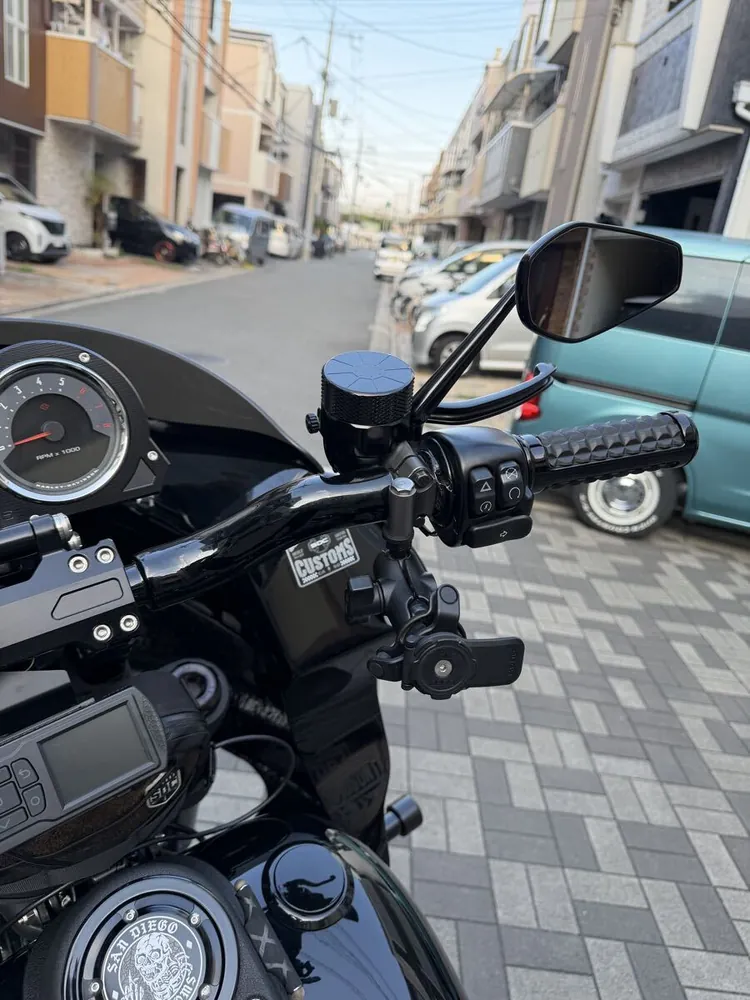 Harley-Davidson FXLRST 2021, фото 6