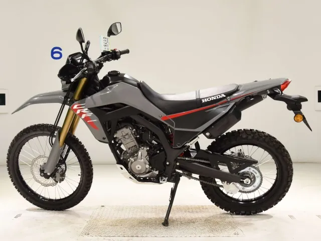Honda CRF250 Rally, серый, фото 2