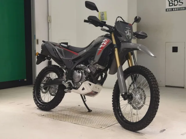 Honda CRF250 Rally, серый, фото 3