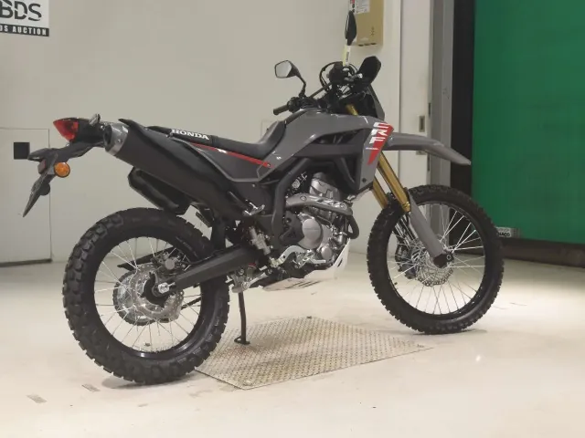 Honda CRF250 Rally, серый, фото 5