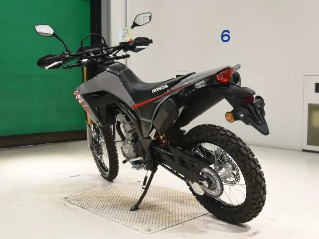 Honda CRF250 Rally, серый, фото 6