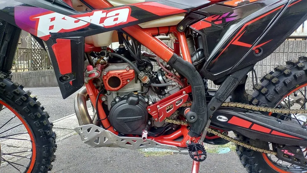 Beta X-Trainer 300 2023, фото 6