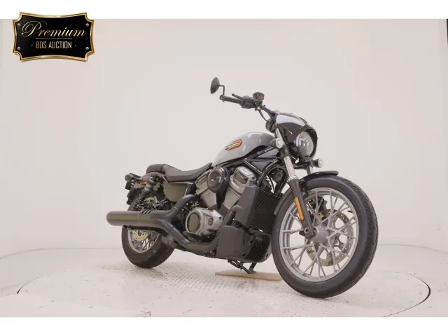Harley-Davidson RH975S 2024, серый, фото 3