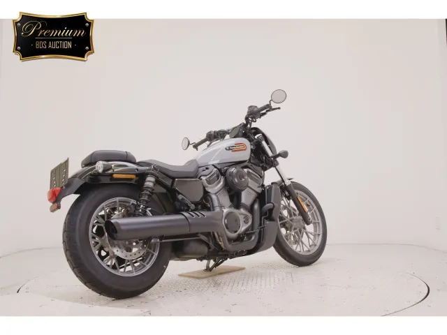 Harley-Davidson RH975S 2024, серый, фото 5