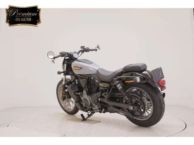 Harley-Davidson RH975S 2024, серый, фото 6