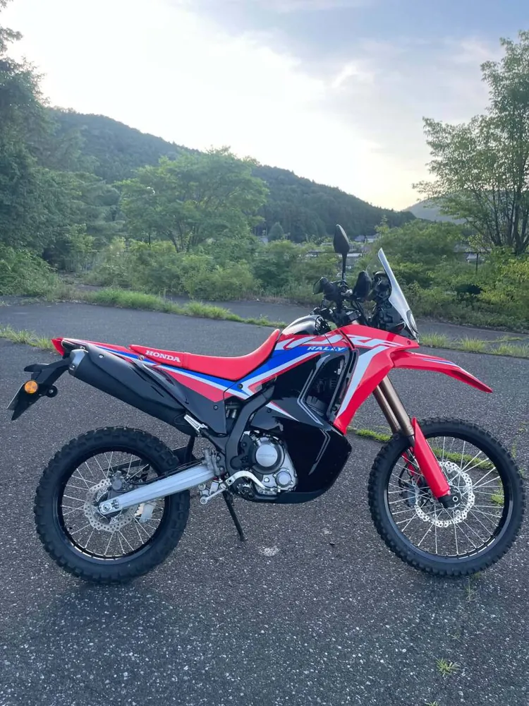 Honda CRF250 Rally 2023, фото 4