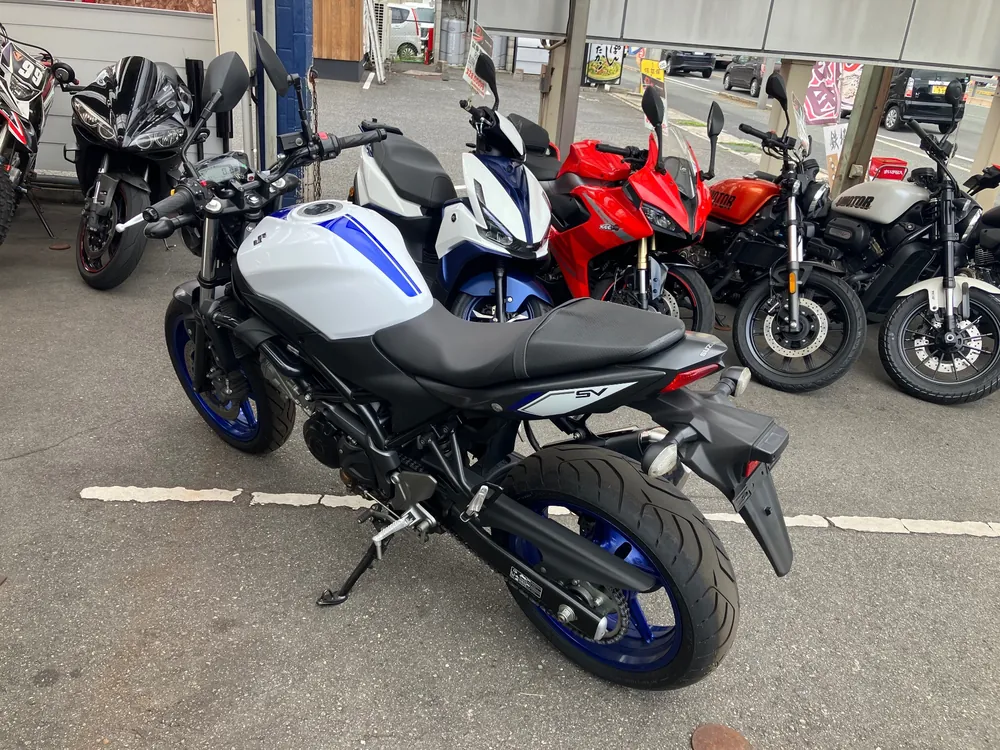 Suzuki SV650 2016, белый, фото 2