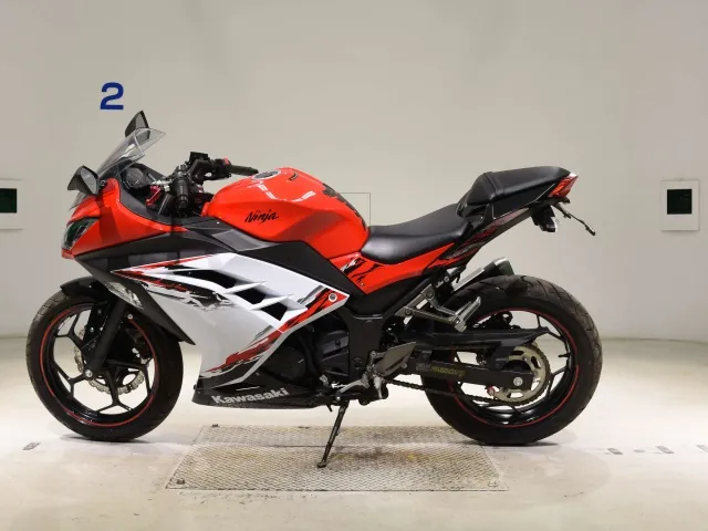 Kawasaki Ninja 250, white | red | black, фото 2