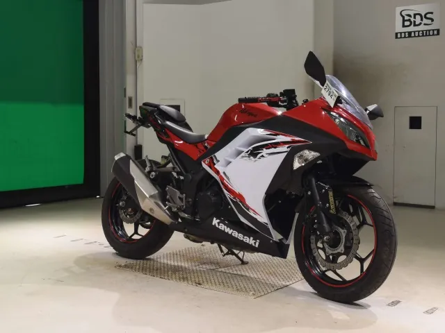 Kawasaki Ninja 250, white | red | black, фото 3