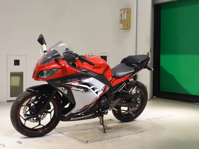 Kawasaki Ninja 250, white | red | black, фото 4