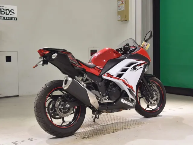 Kawasaki Ninja 250, white | red | black, фото 5