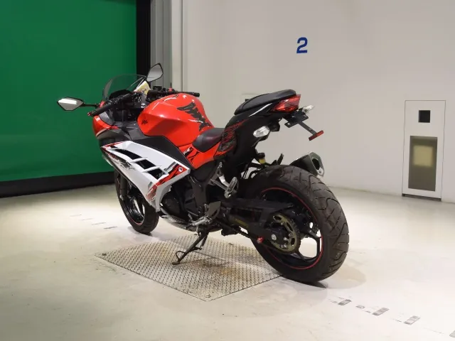 Kawasaki Ninja 250, white | red | black, фото 6