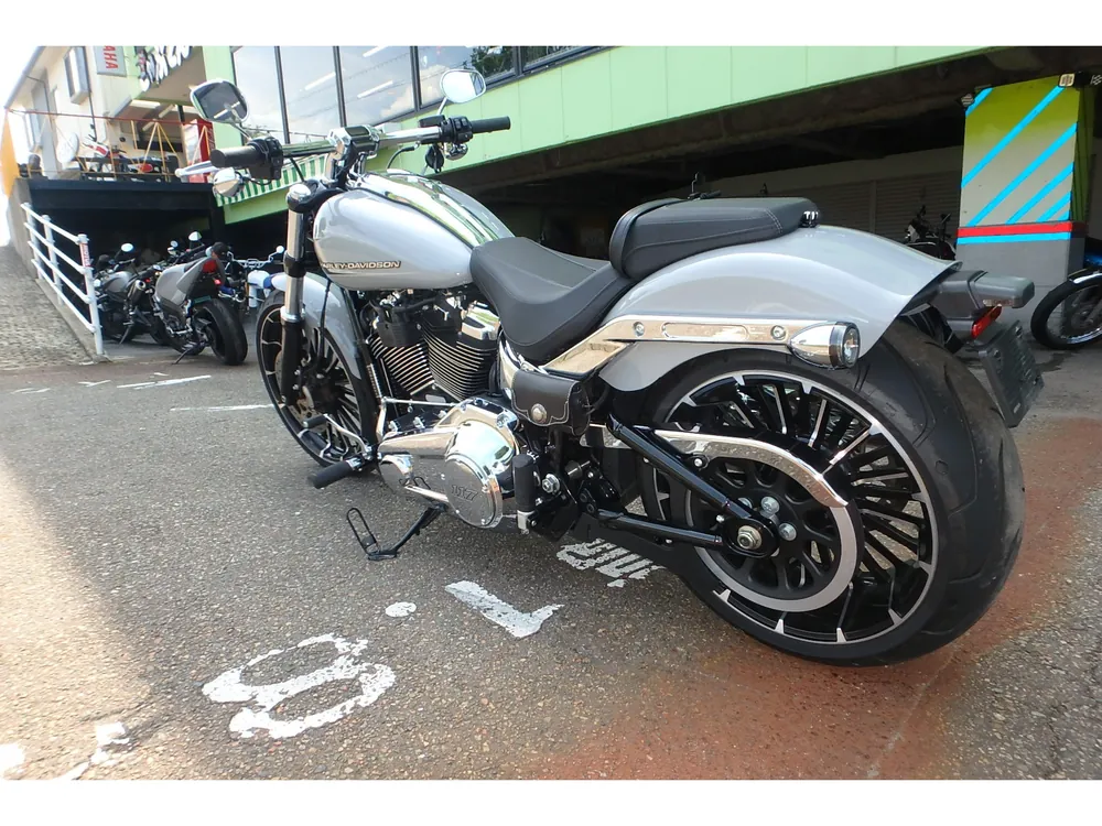 Harley-Davidson FXBR 2024, серый, фото 12