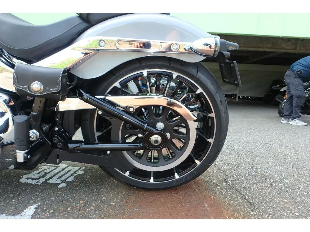 Harley-Davidson FXBR 2024, серый, фото 13