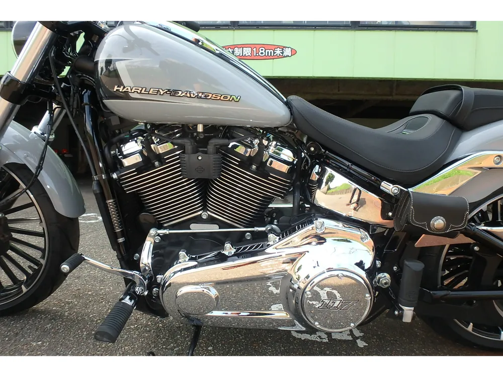 Harley-Davidson FXBR 2024, серый, фото 14