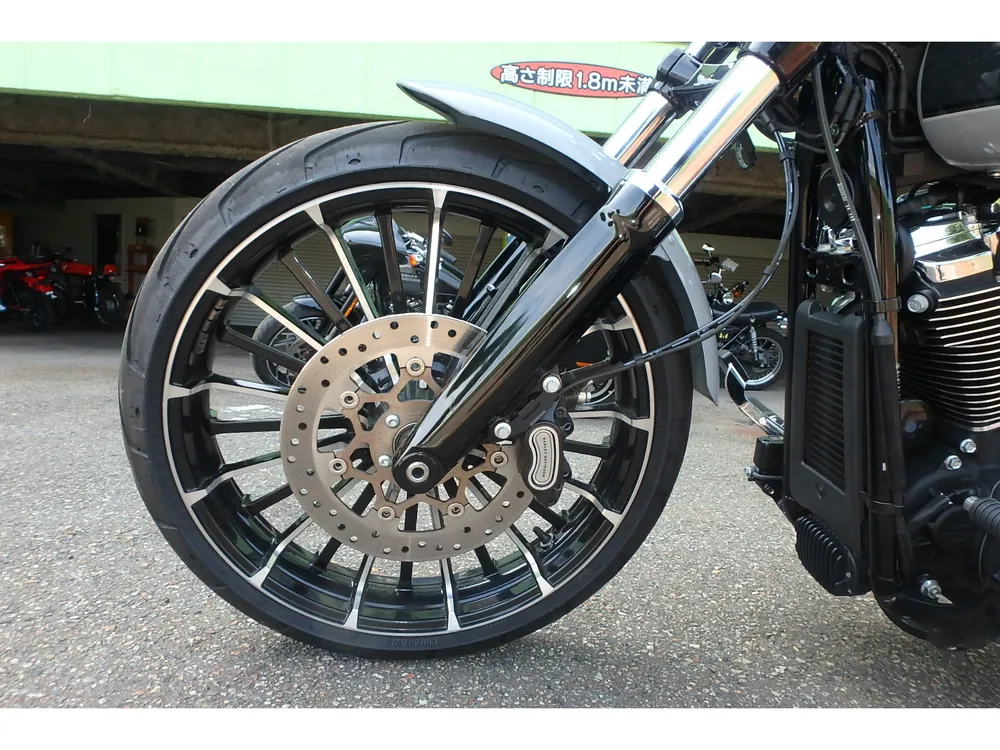 Harley-Davidson FXBR 2024, серый, фото 15